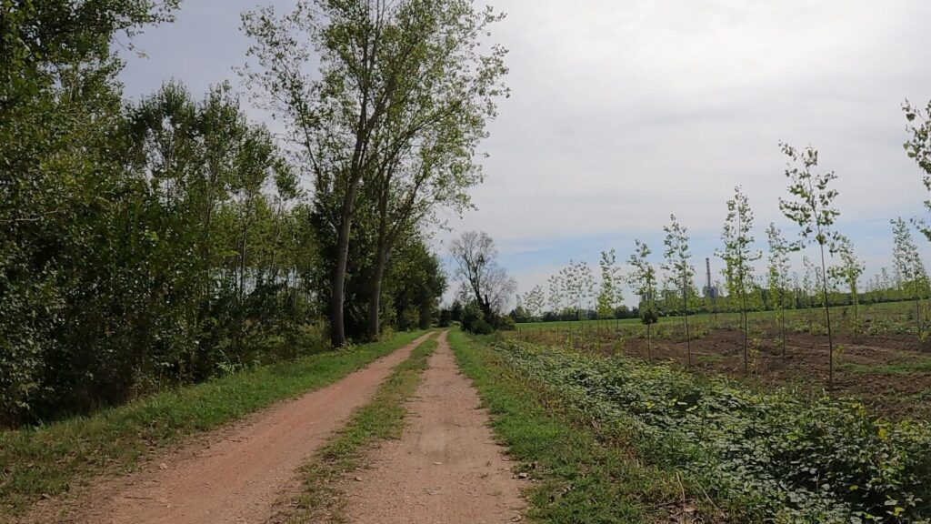 czasem droga utwardzona